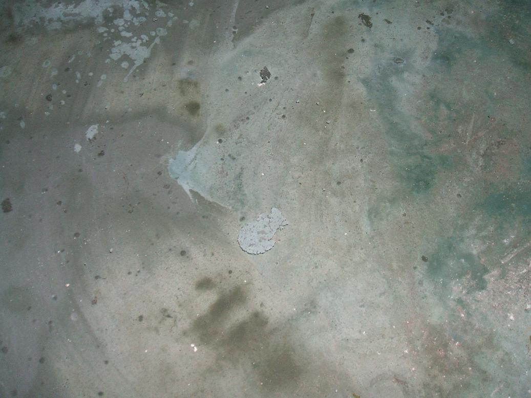 DSCF2460.JPG