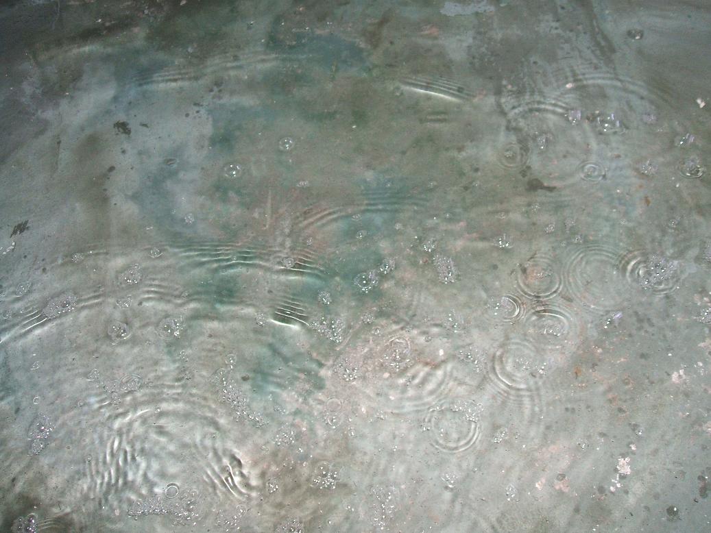 DSCF2462.JPG