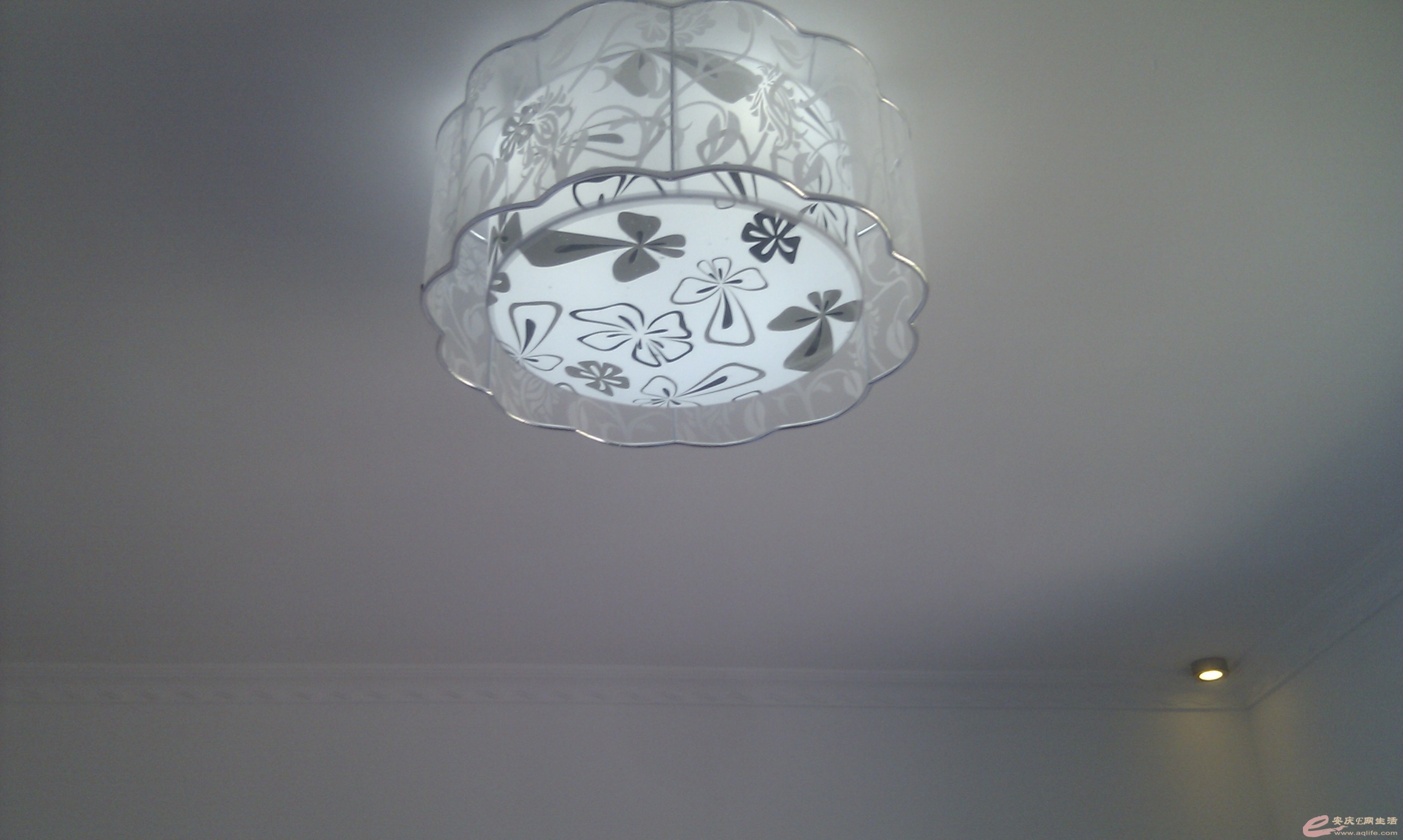 IMG_20130710_155734.jpg
