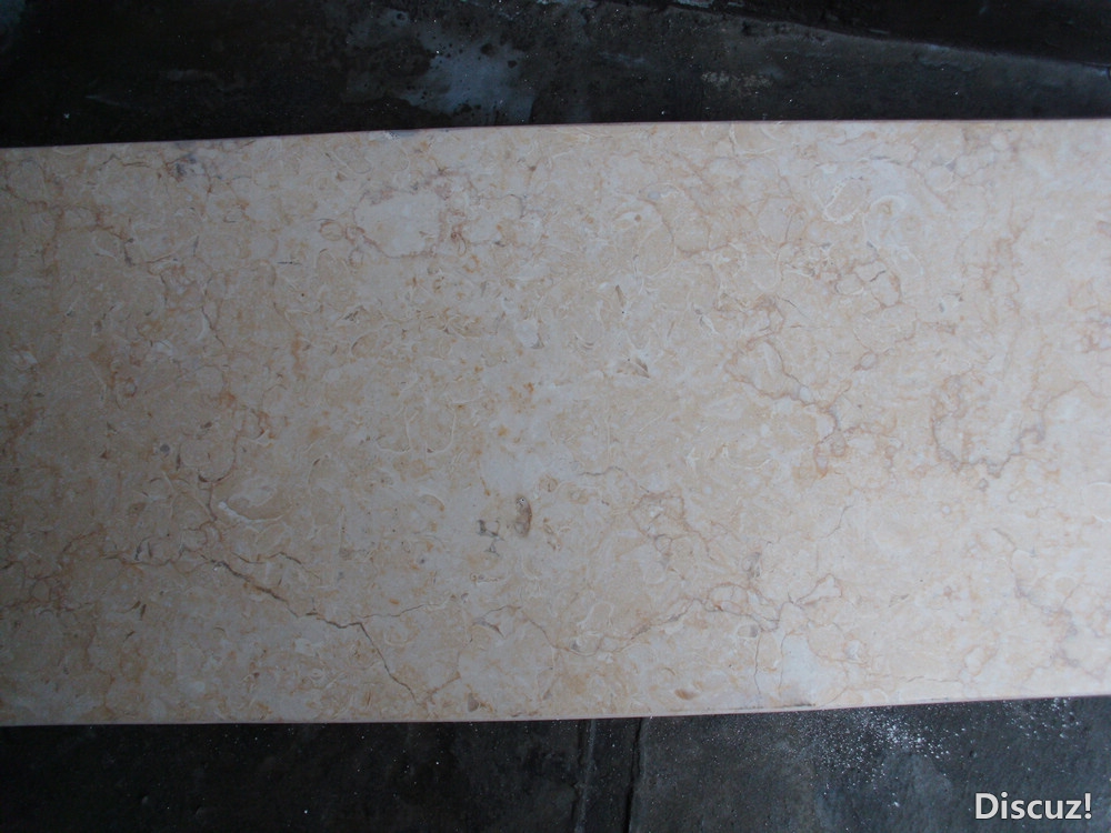 DSCI0570.JPG