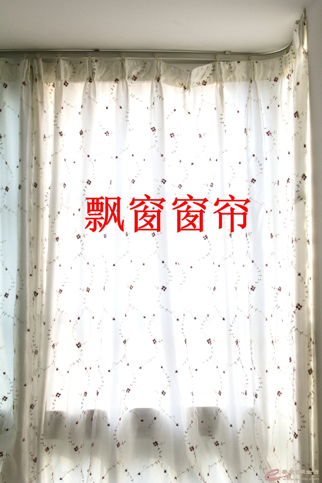 Ʈ