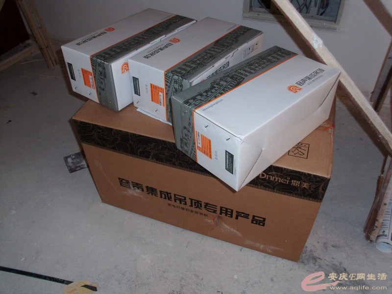 DSCI0917.JPG