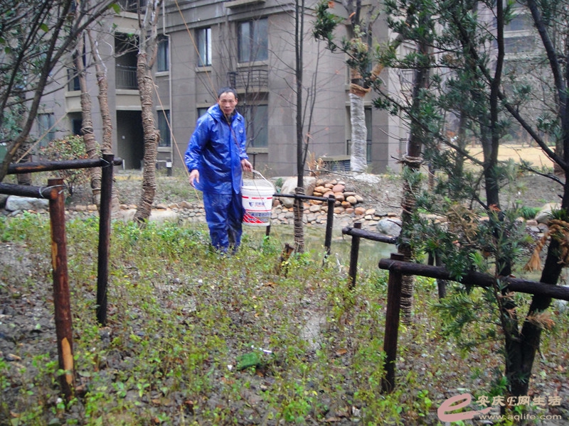 DSC03784_.jpg