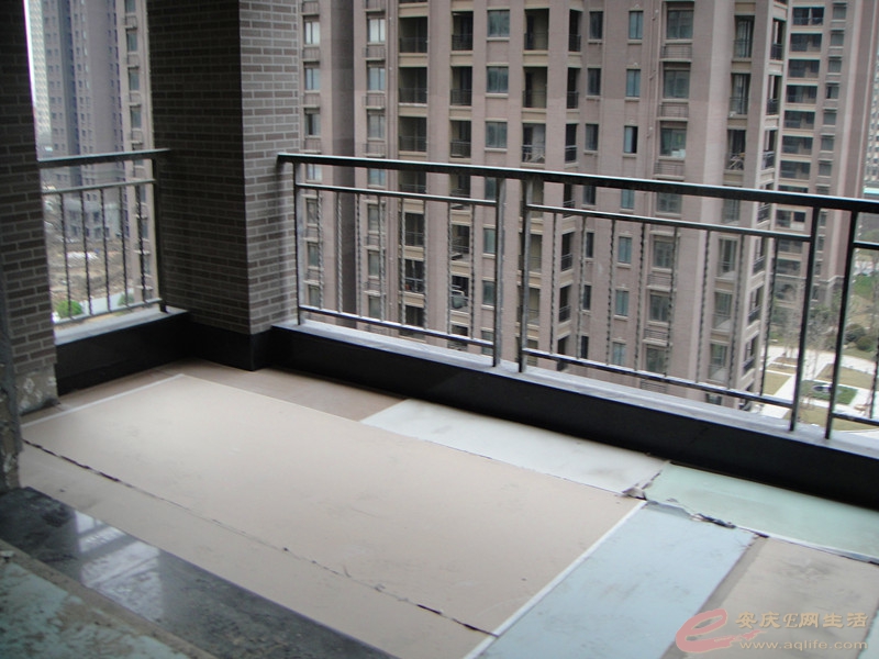 DSC03970_.jpg