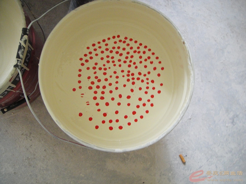 DSC04730_.jpg