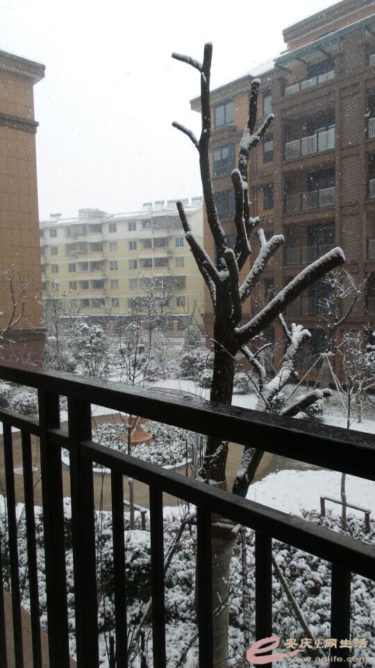 QQͼƬ20150201120023.jpg