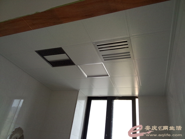 P50605-084827.jpg