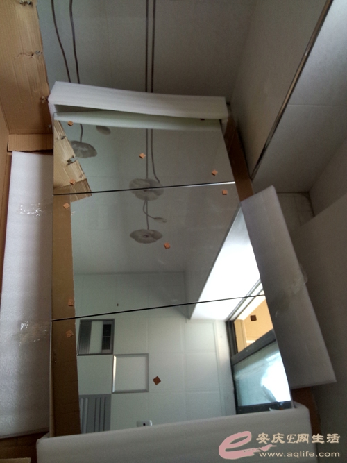P50610-125541.jpg