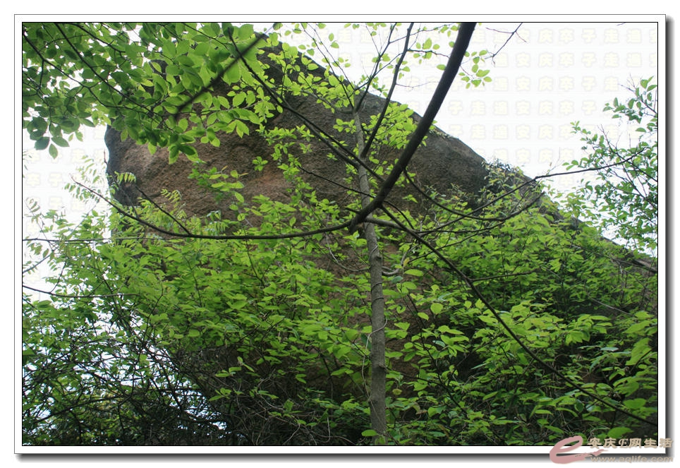 20150418 316.jpg