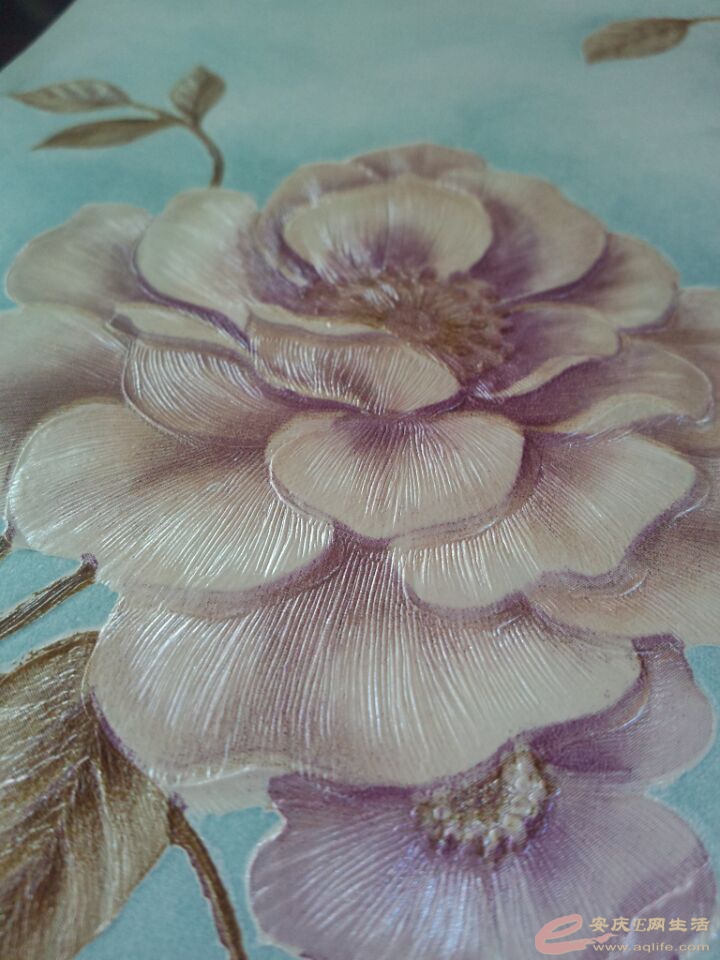 QQͼƬ20150730083940.jpg