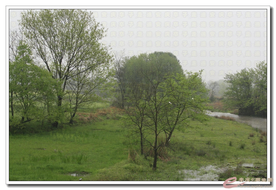 20150404 229.jpg