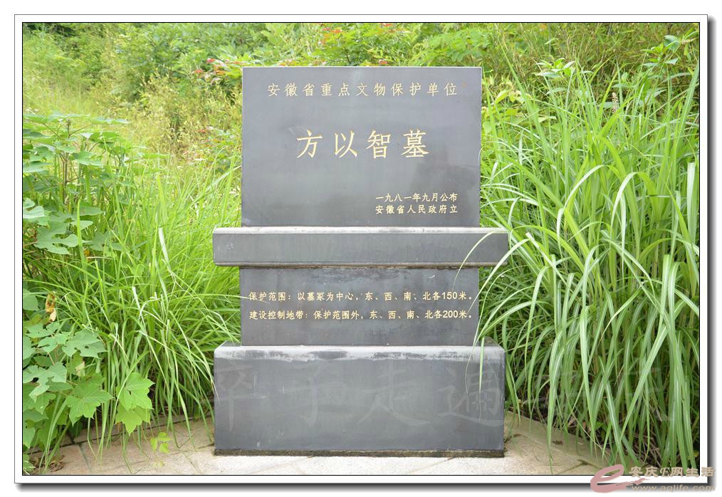 psb1-1.jpg