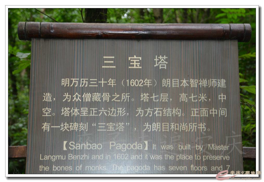 psb1-1.jpg