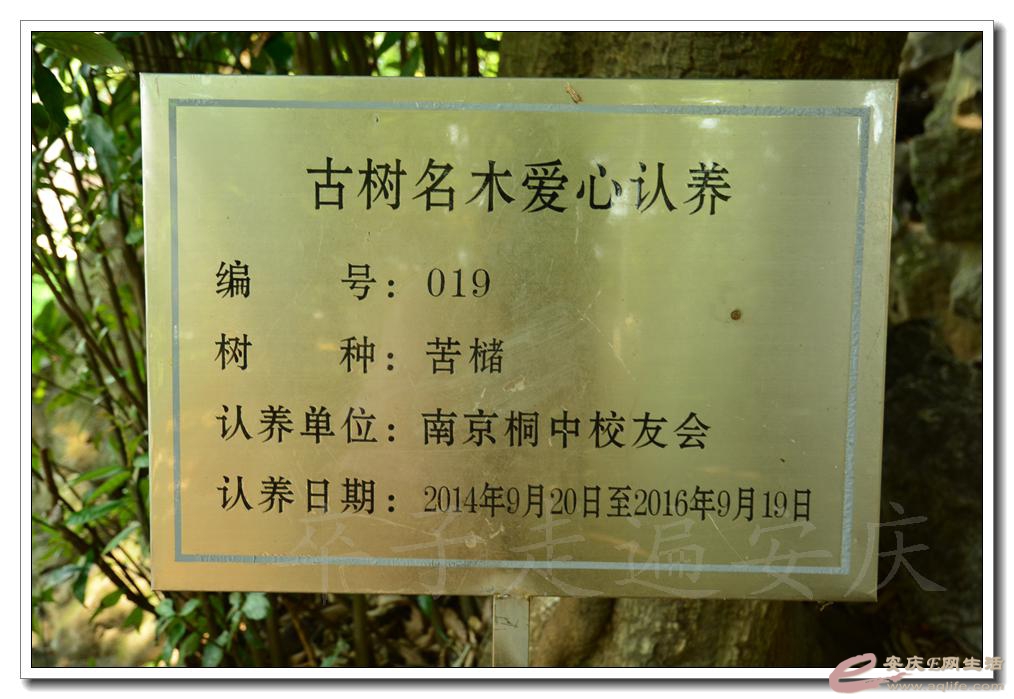20160723 122.jpg