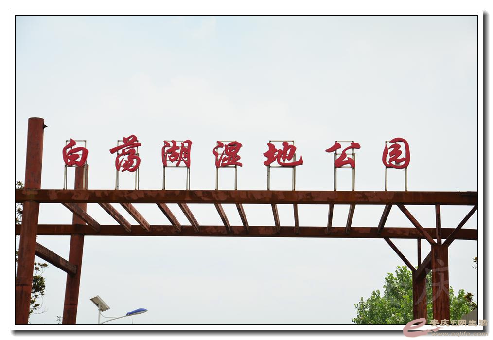 20160709 142.jpg