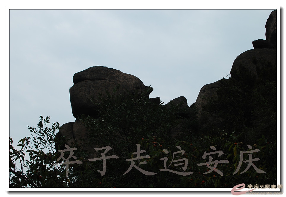DSC_9404.jpg