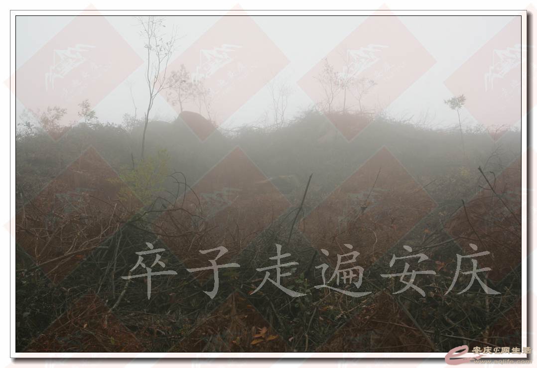 20161112 230.jpg