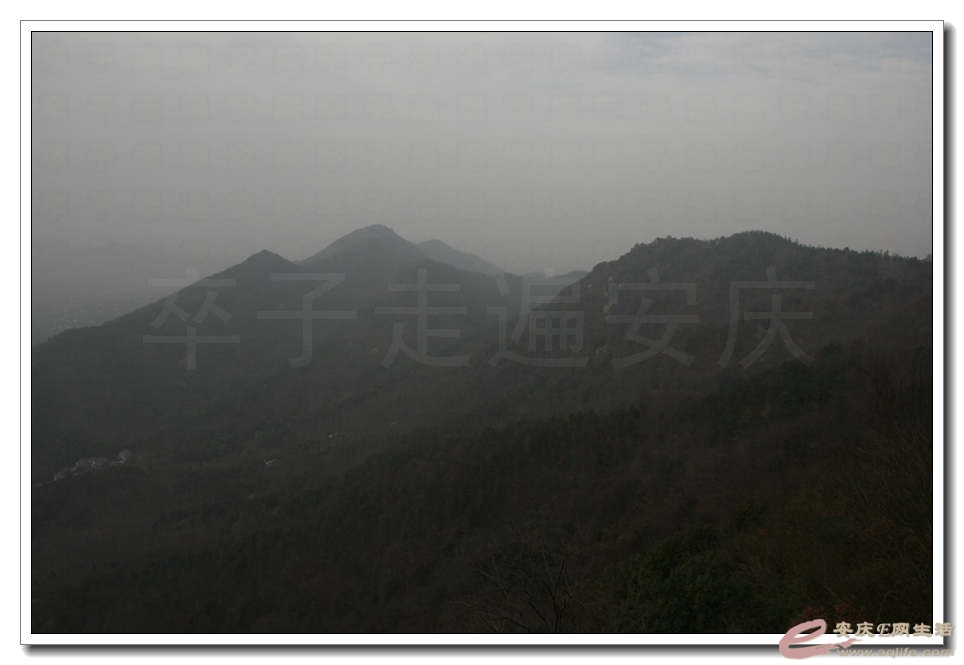 20150117 532.jpg