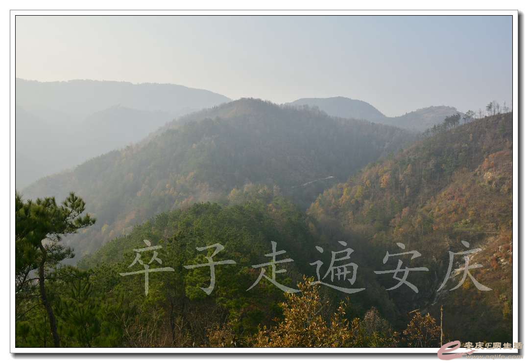 20161204 233.jpg
