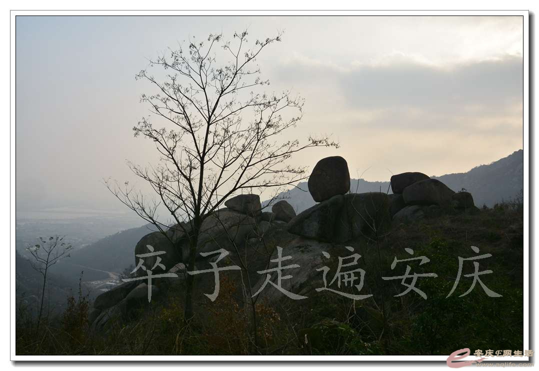 20161128 103.jpg