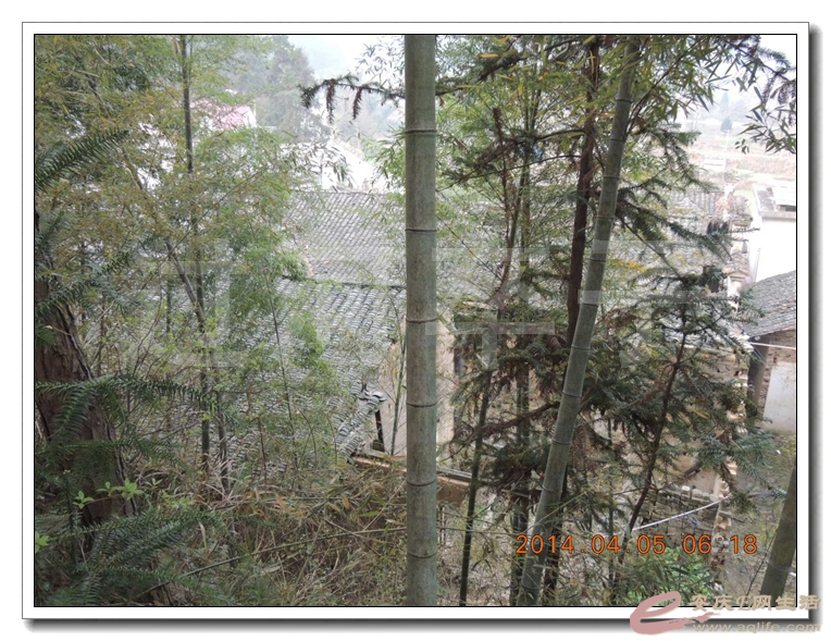 20130405 10.jpg