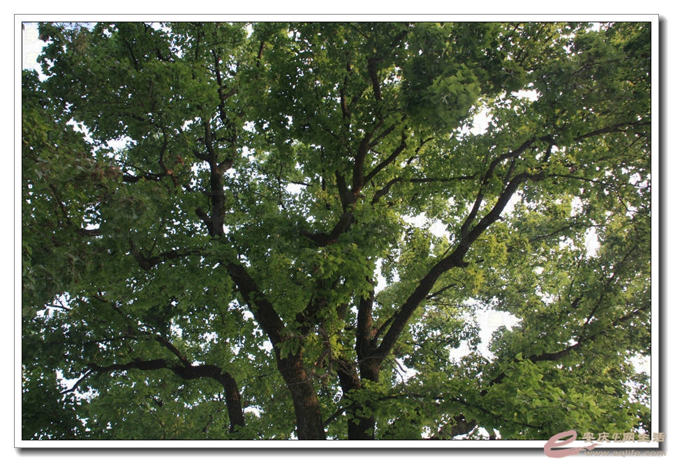 20150829 177.jpg