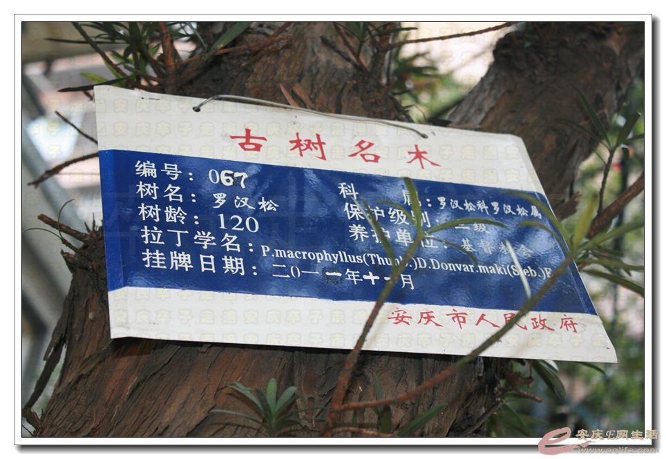 20150412 007.jpg