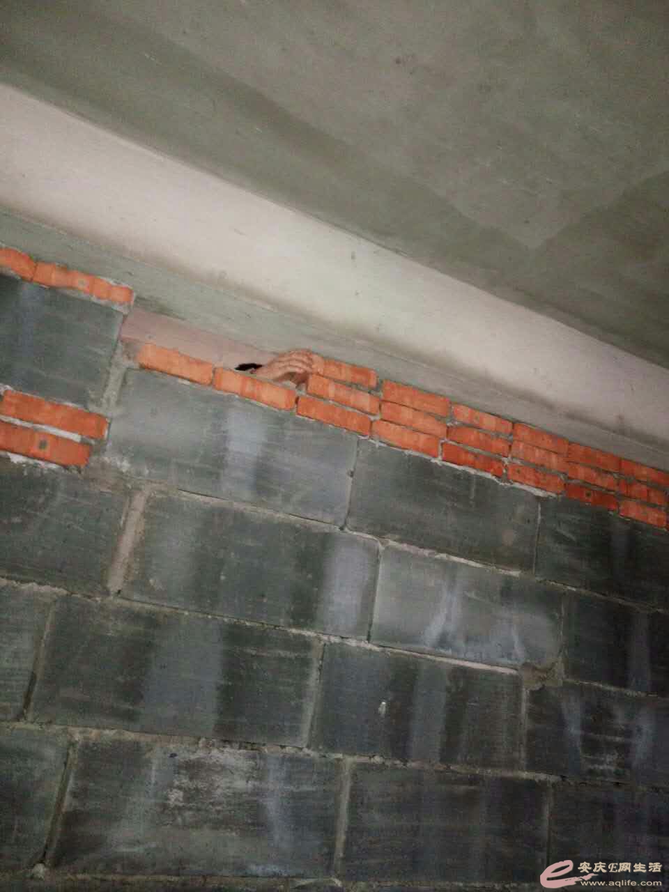 ʦϵשͼ1