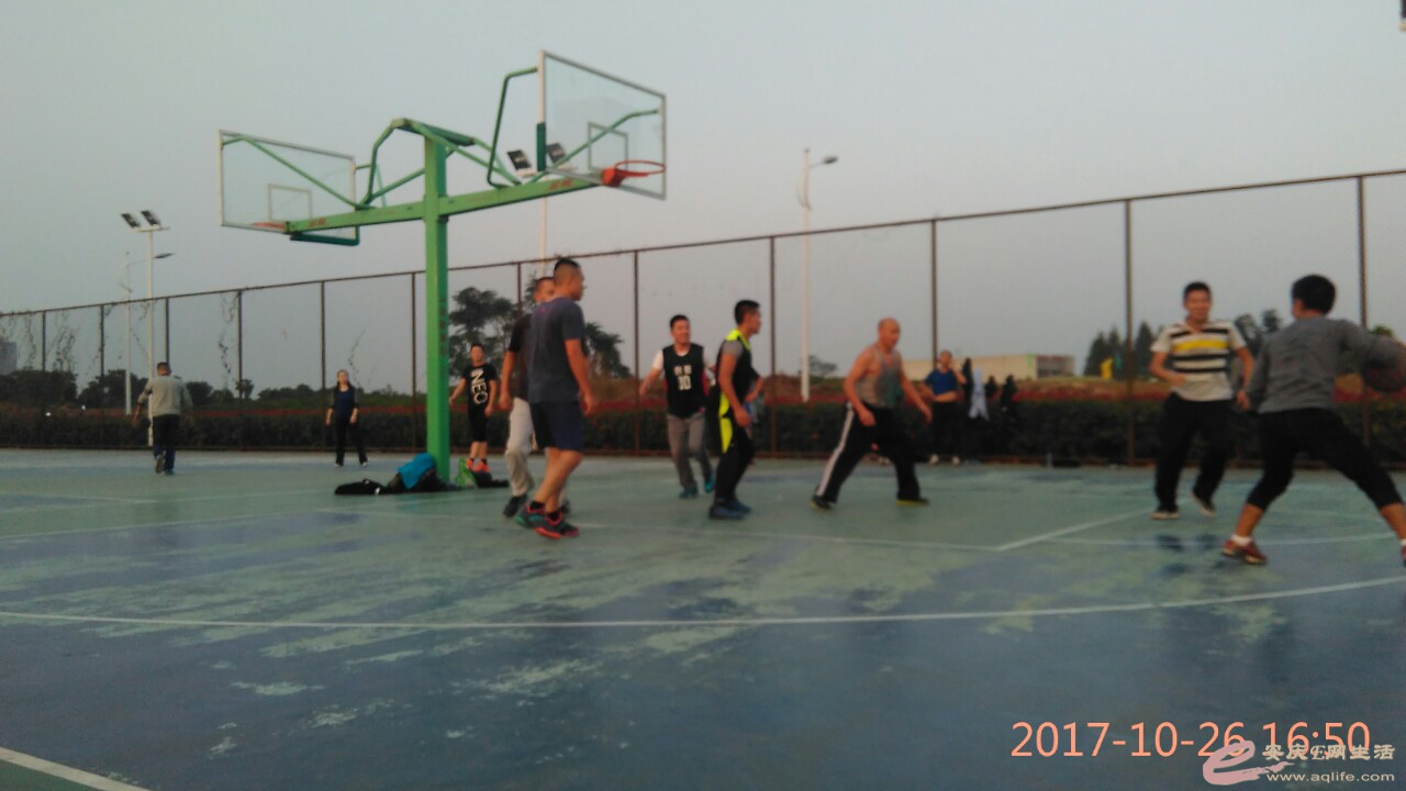 IMG_20171026_165028.jpg