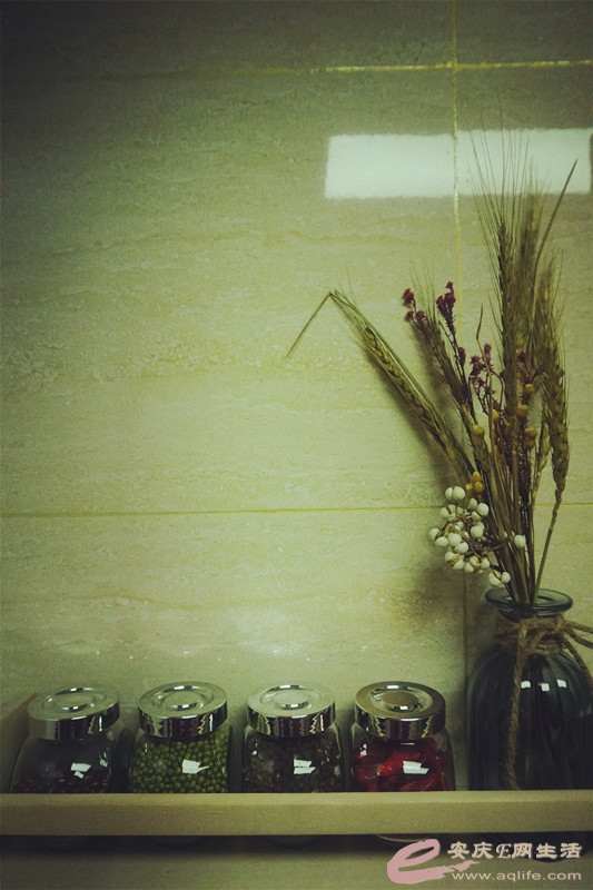 DSC02552_.jpg