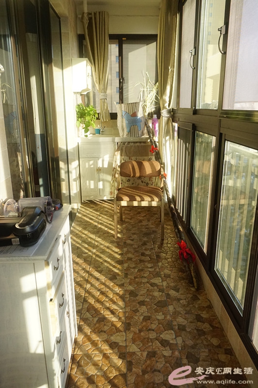 DSC02531_.jpg