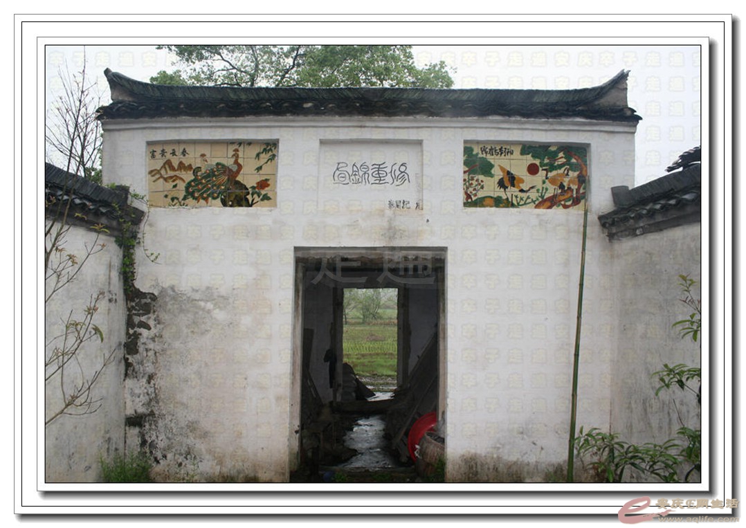 01-2.jpg
