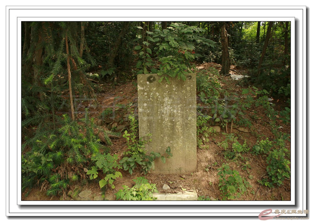 06.jpg