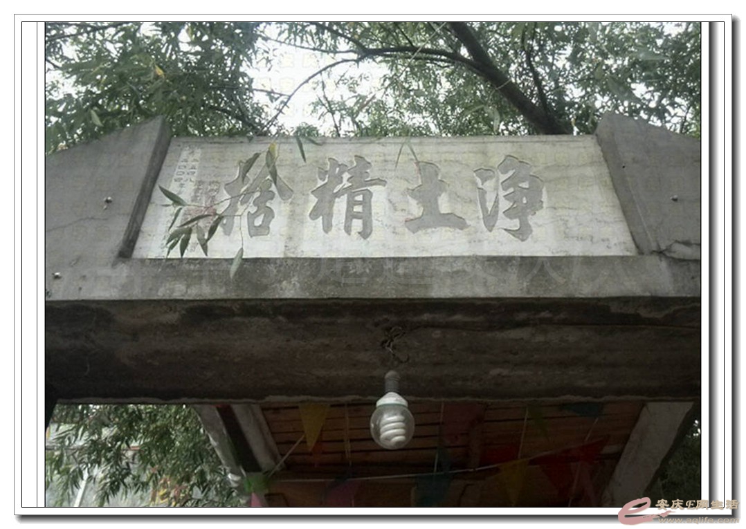 05.jpg