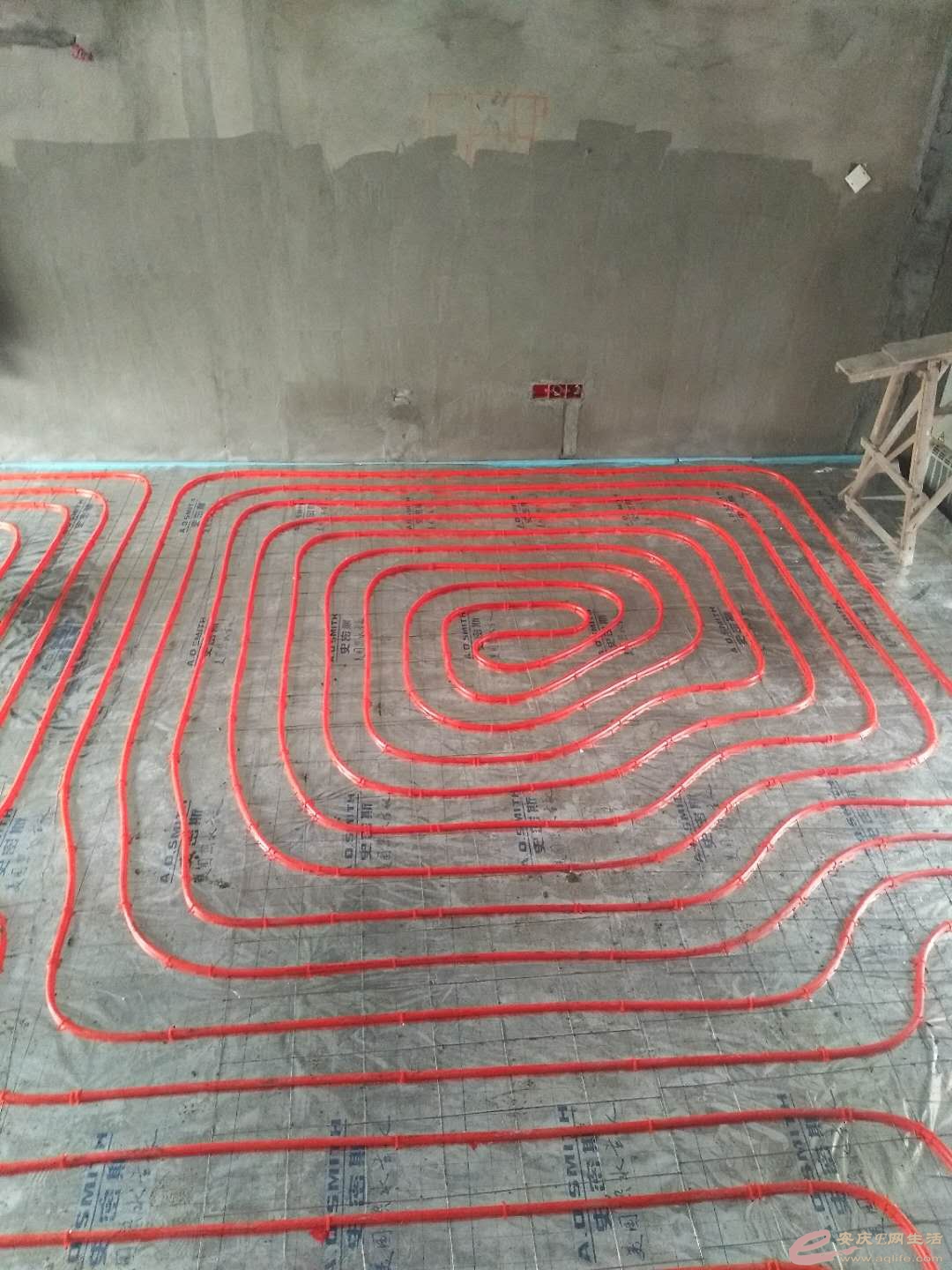 592372426885471485.jpg