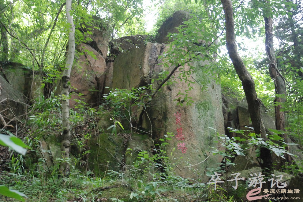 DSC_4008.jpg