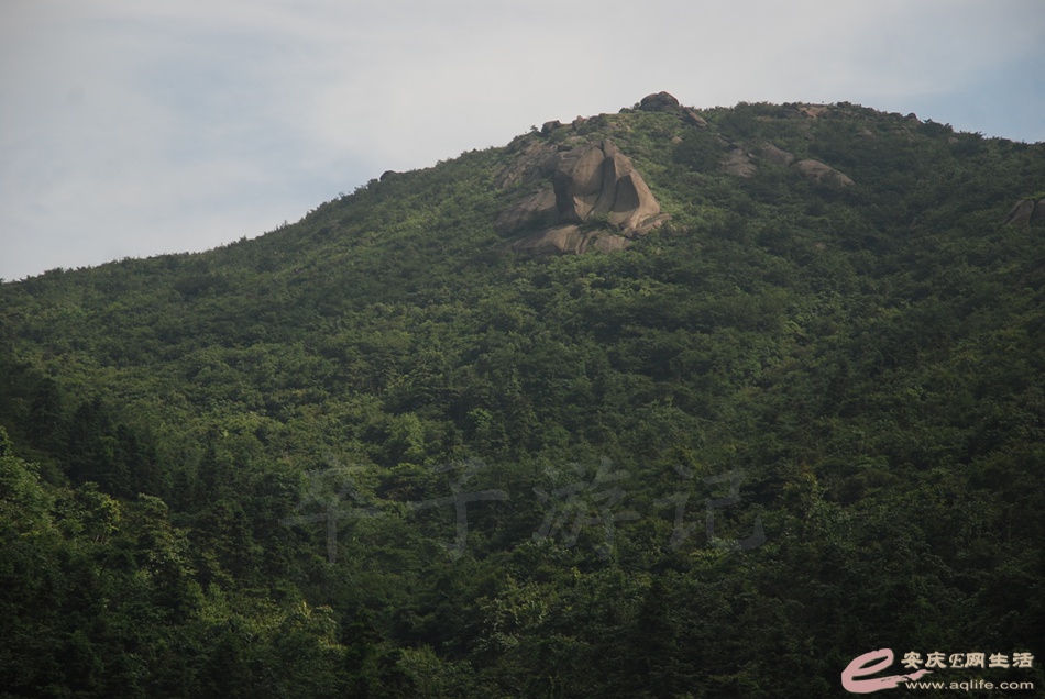 DSC_4760.jpg