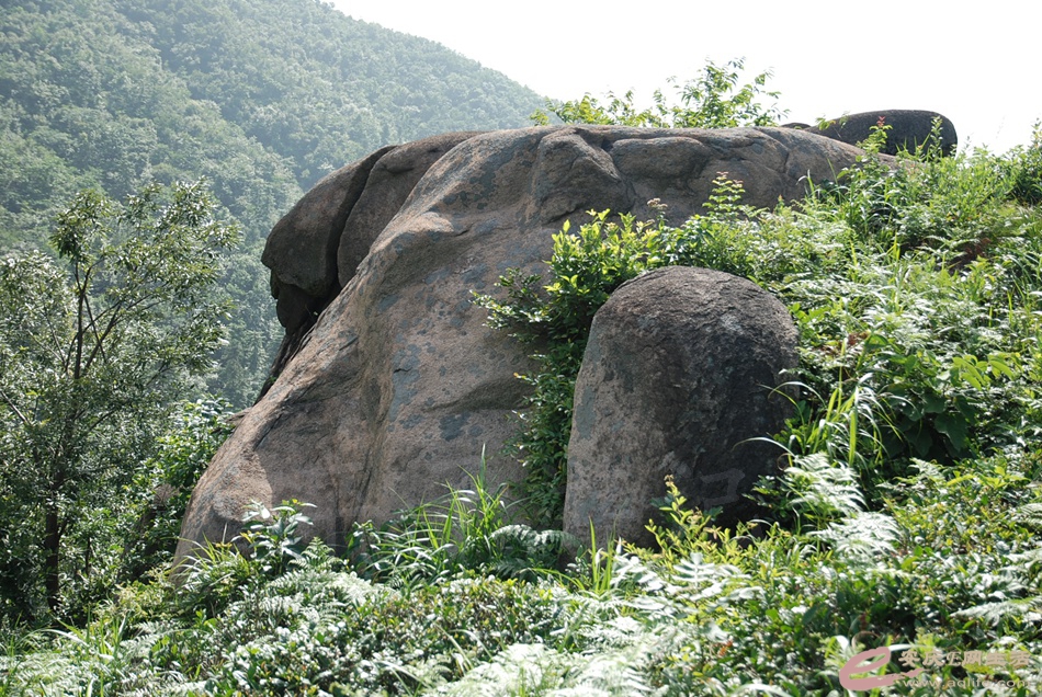 DSC_4786.jpg