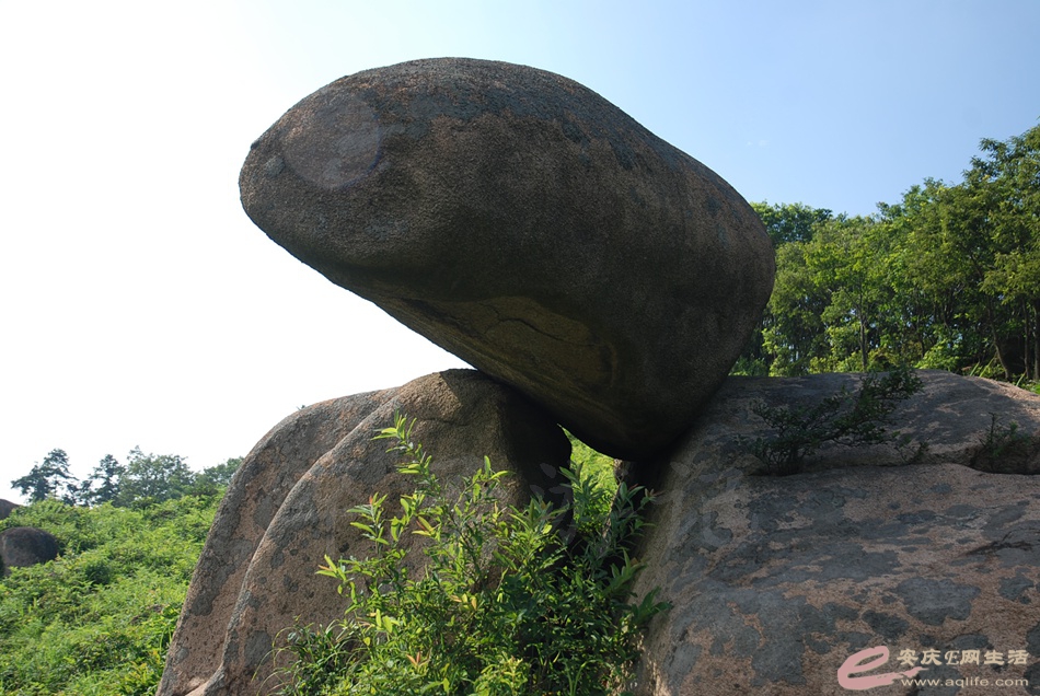 DSC_4828.jpg