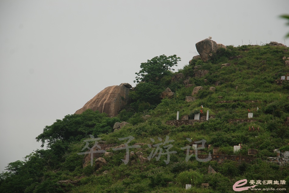 DSC_4907.jpg