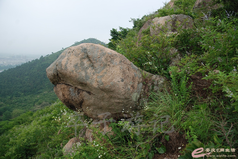 DSC_4967.jpg