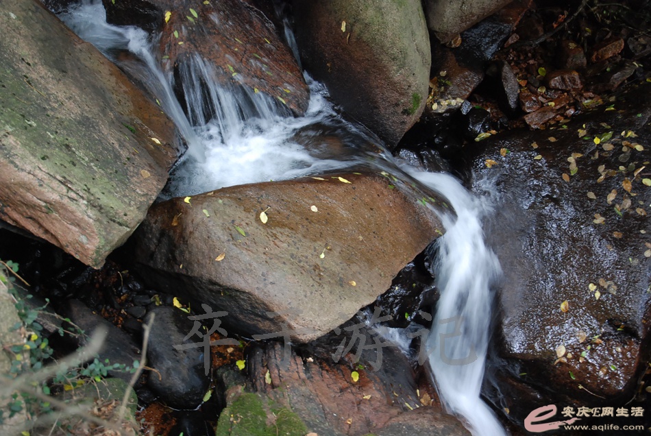 DSC_4997.jpg