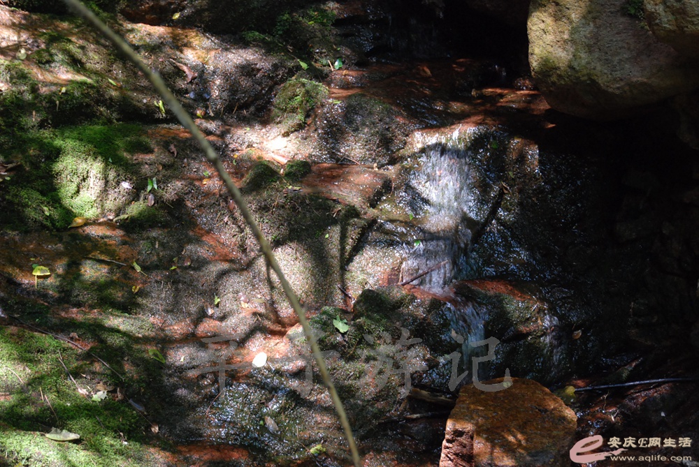 DSC_4748.jpg