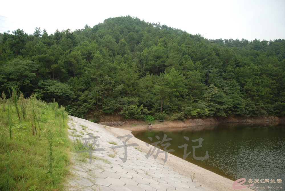 DSC_6047.jpg