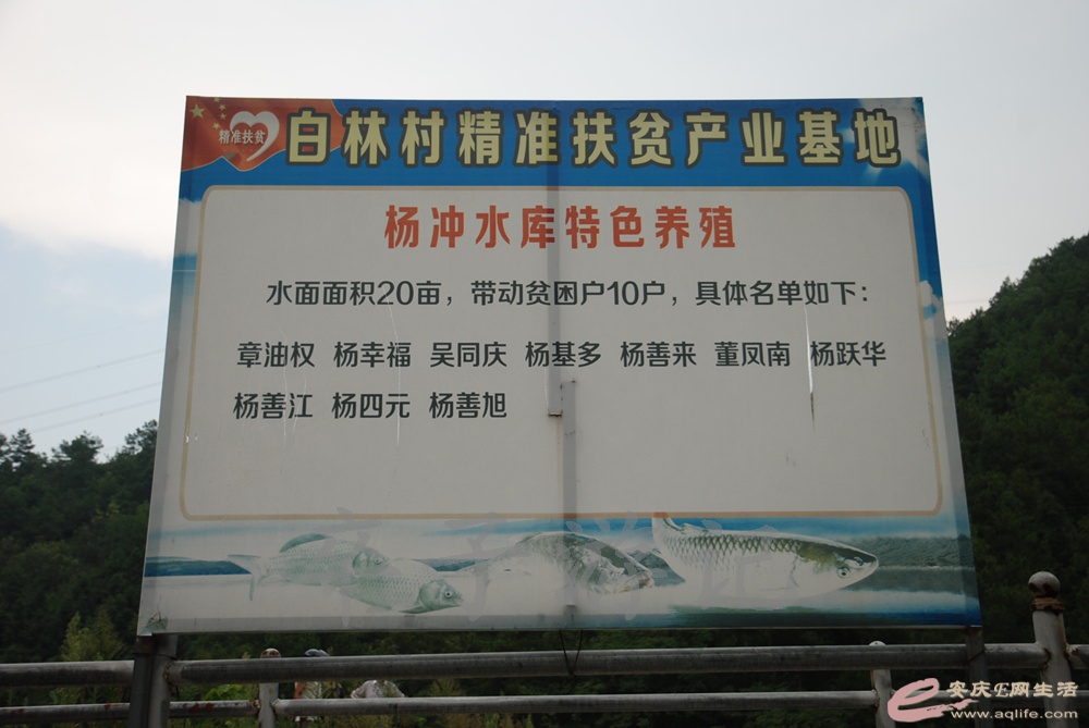 DSC_6049.jpg