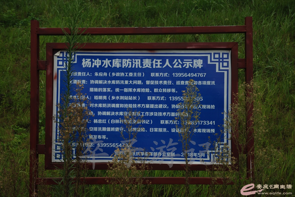 DSC_6061.jpg