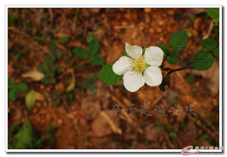 DSC_5944.jpg