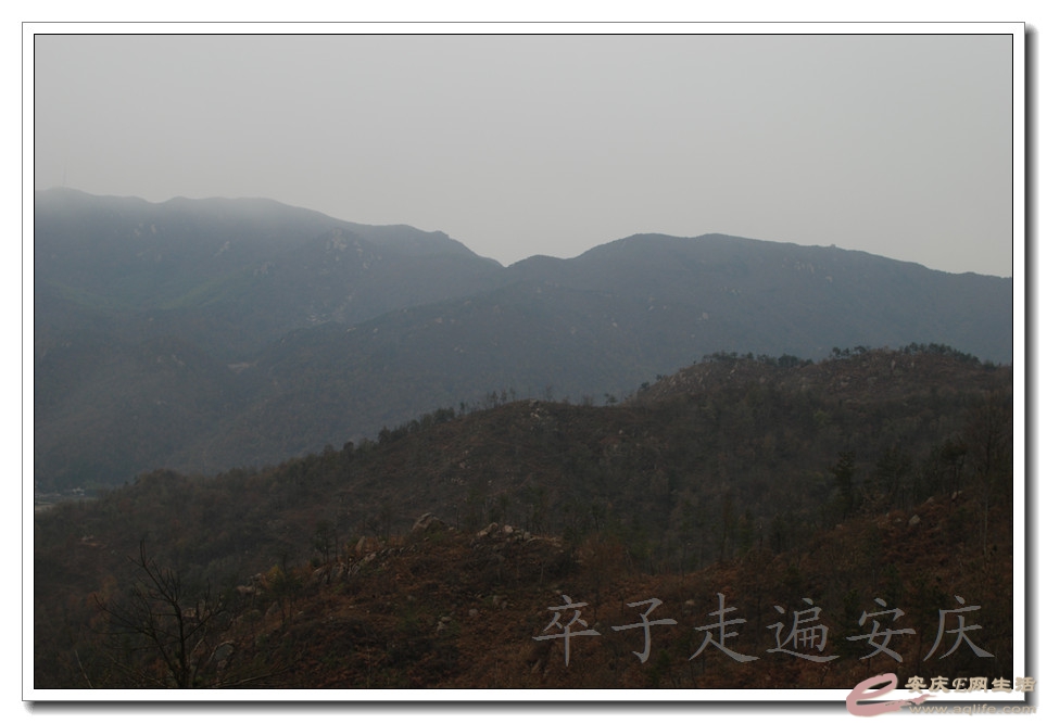 DSC_1904.jpg