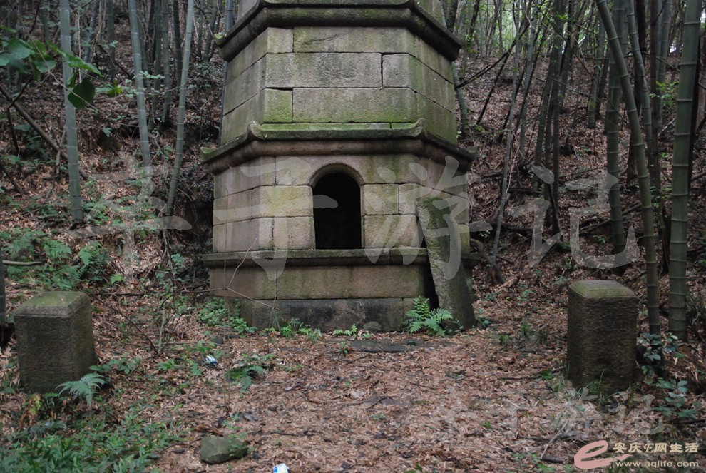 DSC_6498.jpg