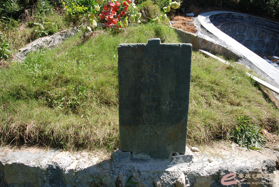 DSC_6660.jpg
